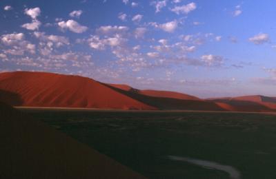Dune 46 