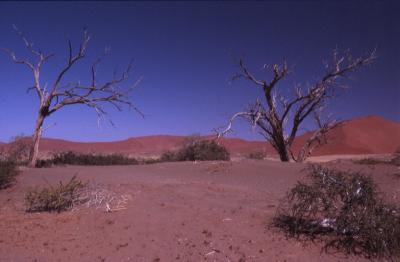 Riverbed Soussousvlej 