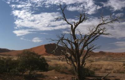 Riverbed Soussousvlej 