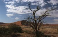 Riverbed Soussousvlej 