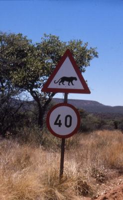 Caution Leopards! 